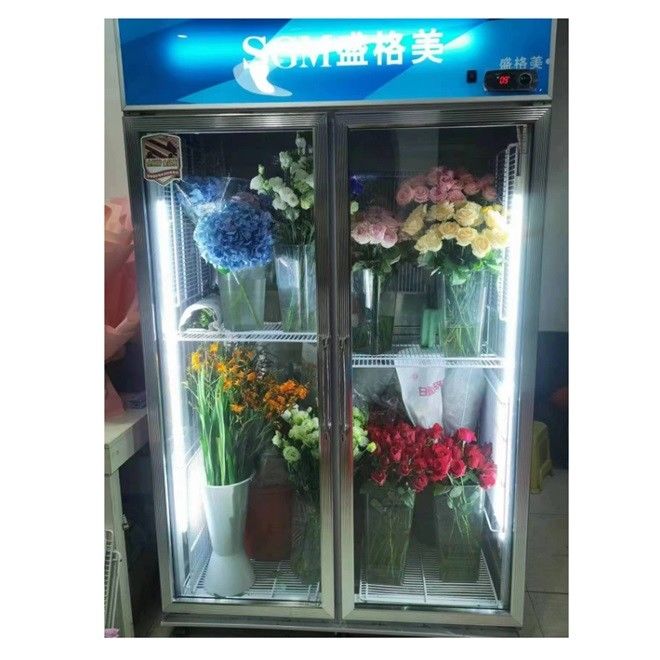 Fruits Vegetable Display Chiller 604L Commercial Vegetable Refrigerator